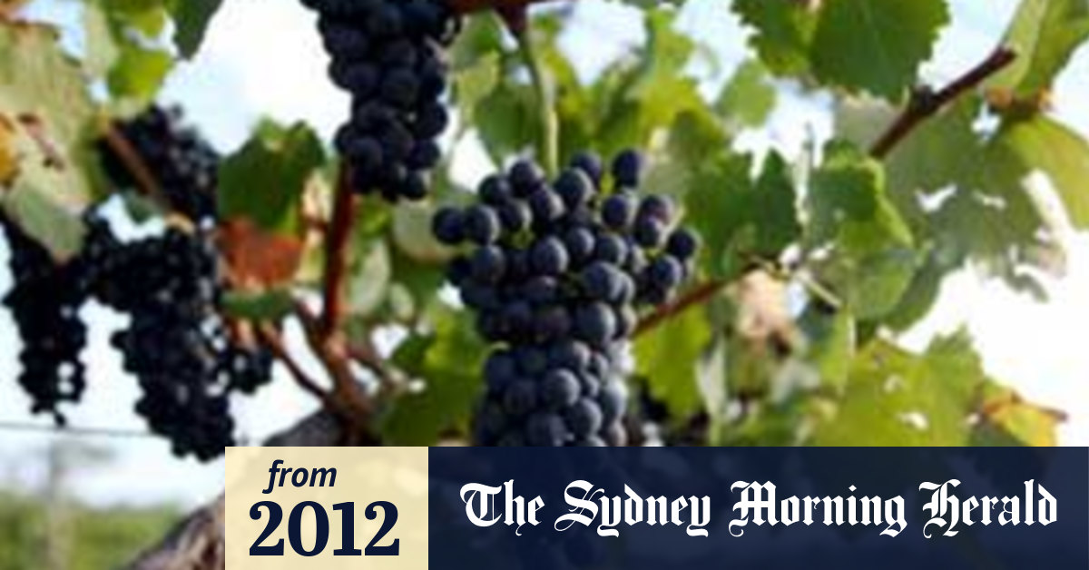 Throwing of the Grape